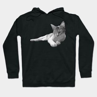 black and white cat Hoodie